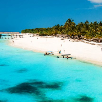 Sample Beach Safaris - South Coast